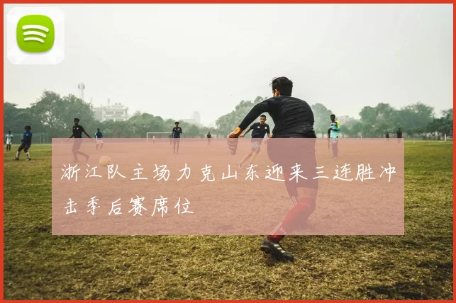 浙江队主场力克山东迎来三连胜冲击季后赛席位