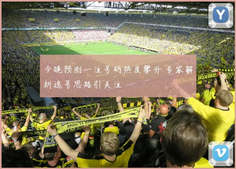 今晚预测一注号码热度攀升 专家解析选号思路引关注