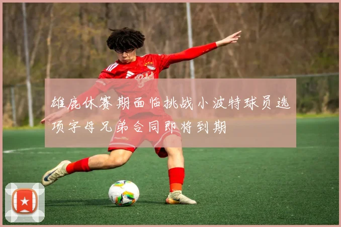 雄鹿休赛期面临挑战小波特球员选项字母兄弟合同即将到期